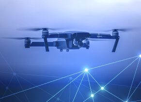 Perennial Intellect 4